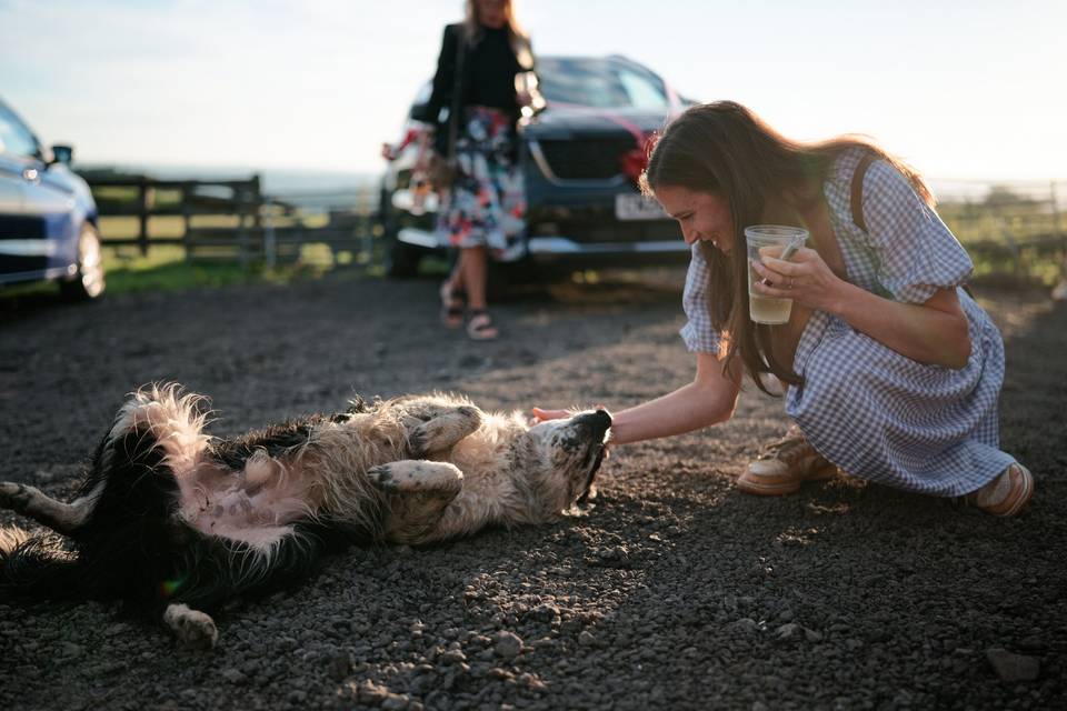 Playing with a good boy