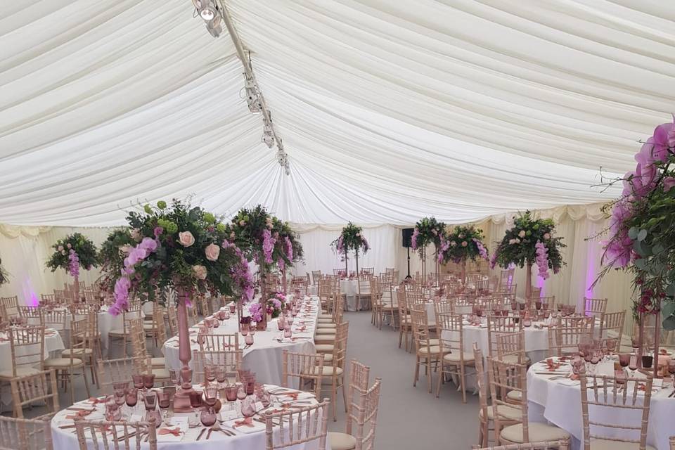 Marquee Interiors