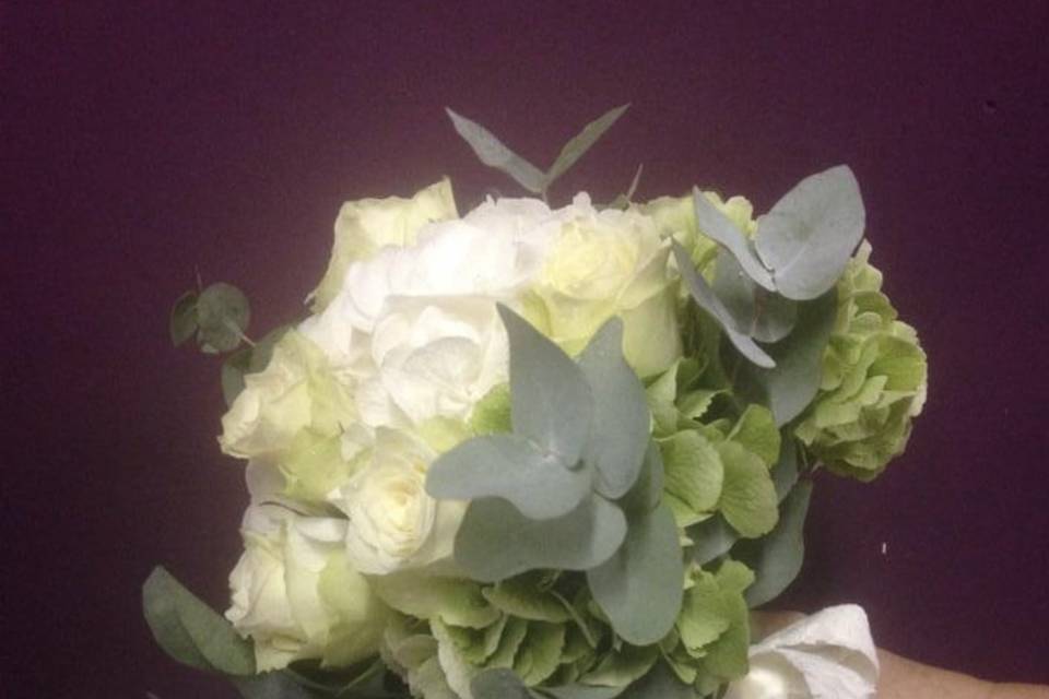 Hydrangea hand tied