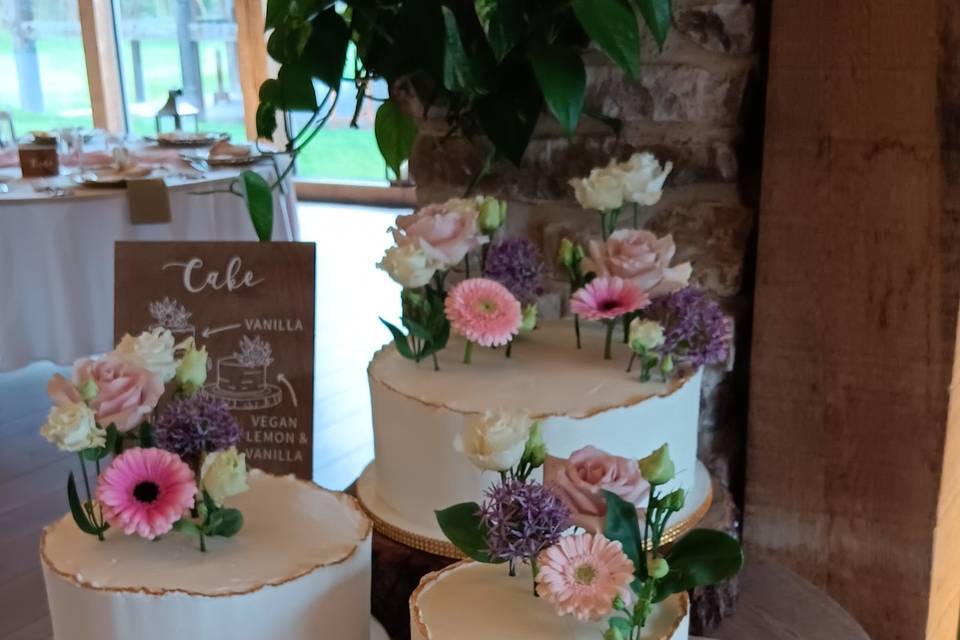 Lesley's Vegan Cakes