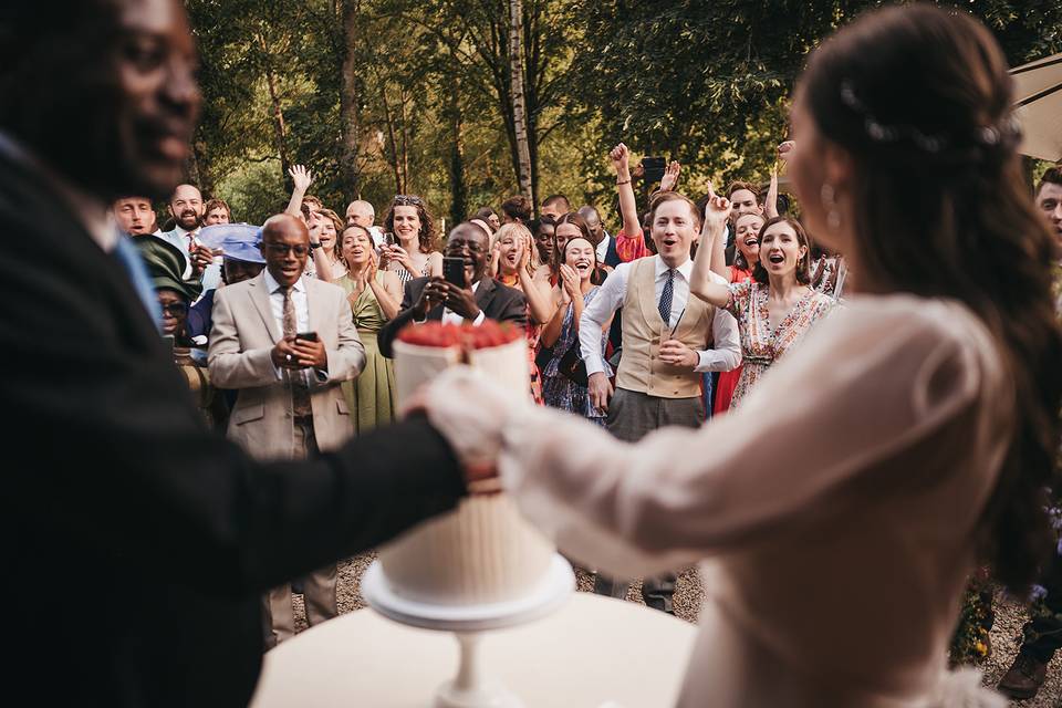 Outdoor cake cut