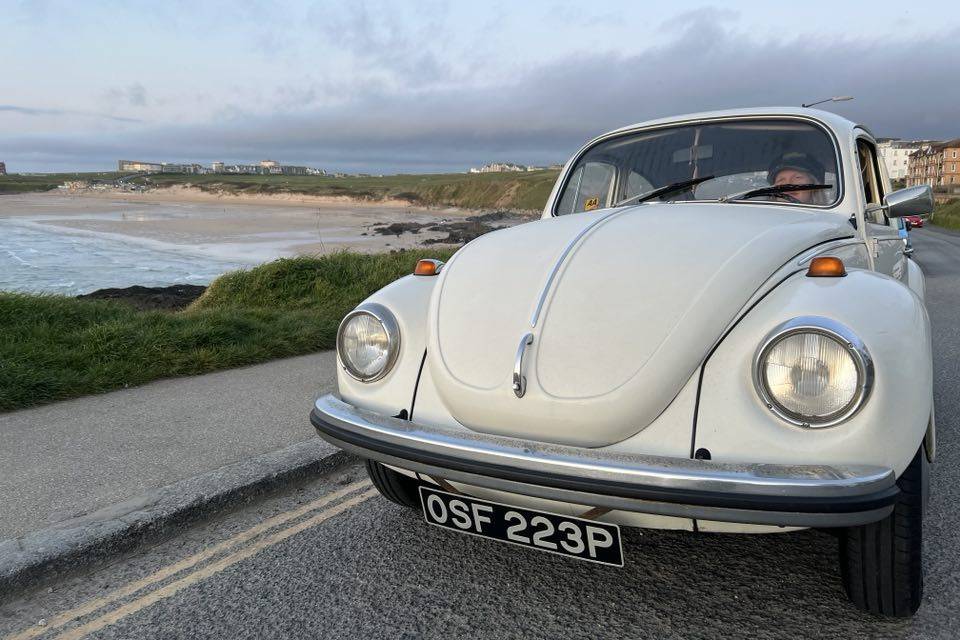 Polly at Pentire