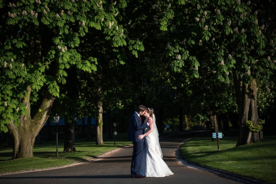 Tree-lined drive