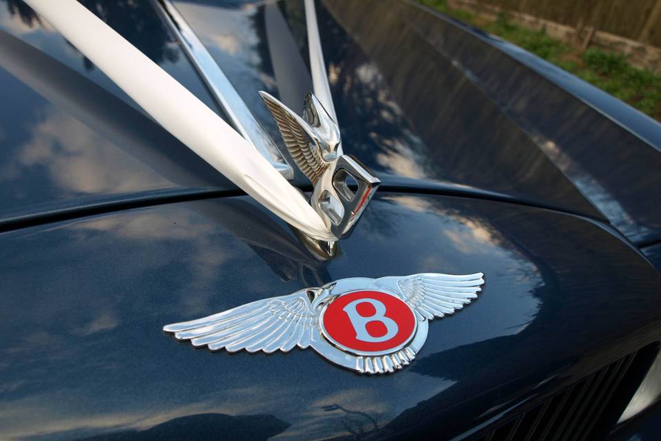 Bianca's Bentleys