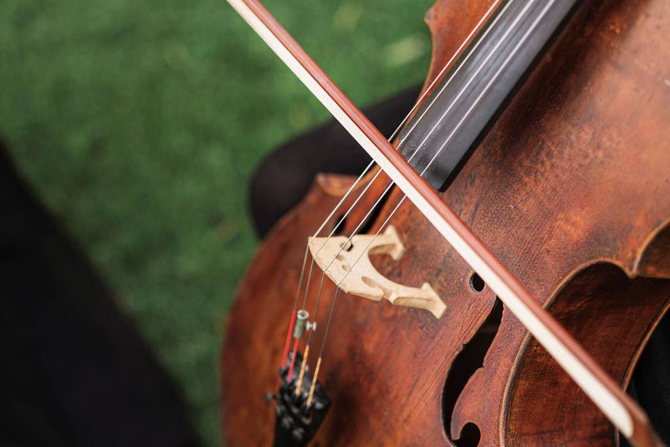 Music&Co. Cello