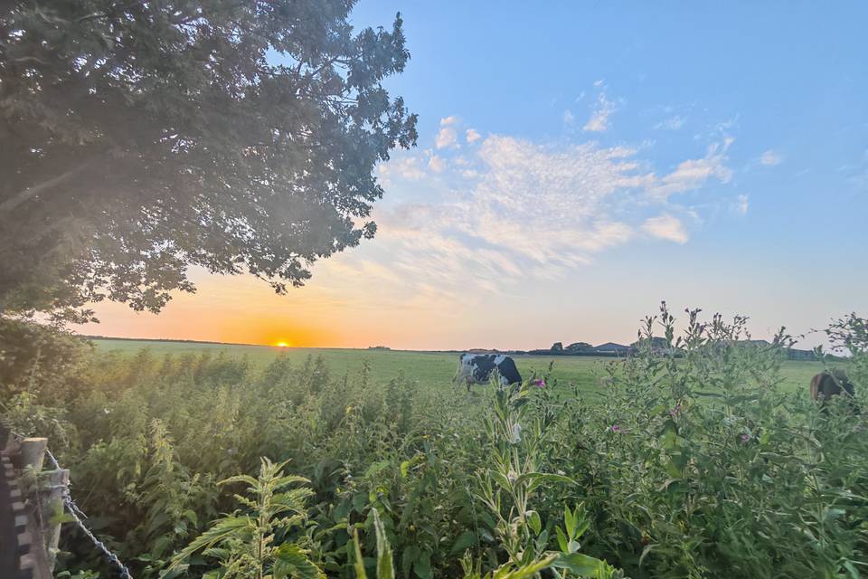 View across the farm field