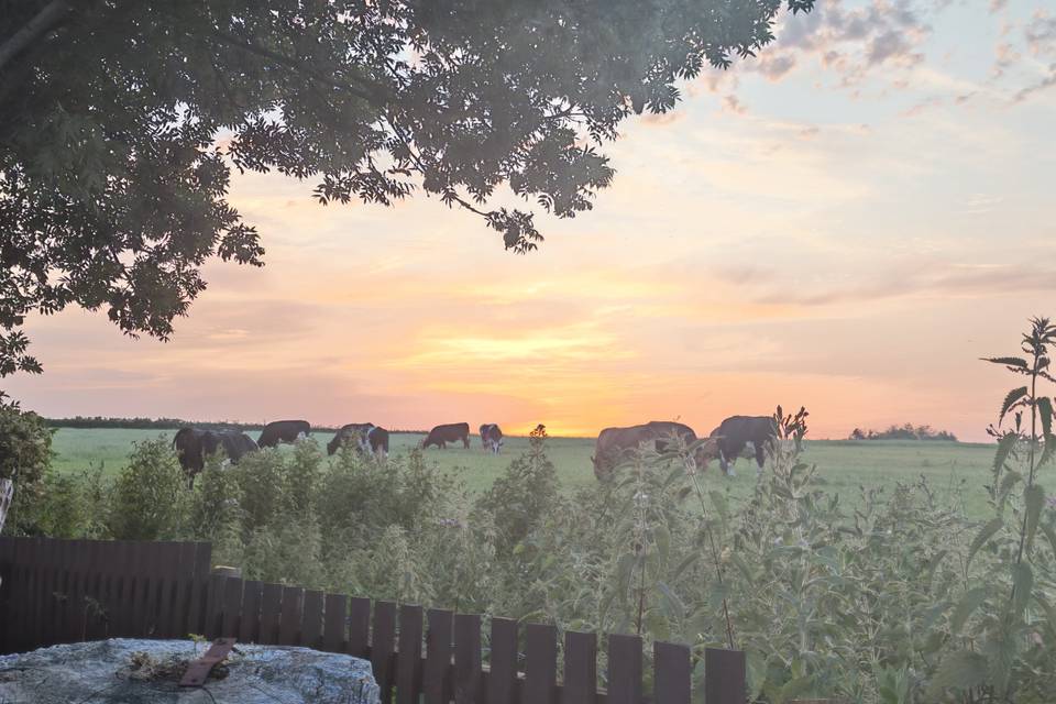 View across the farm field