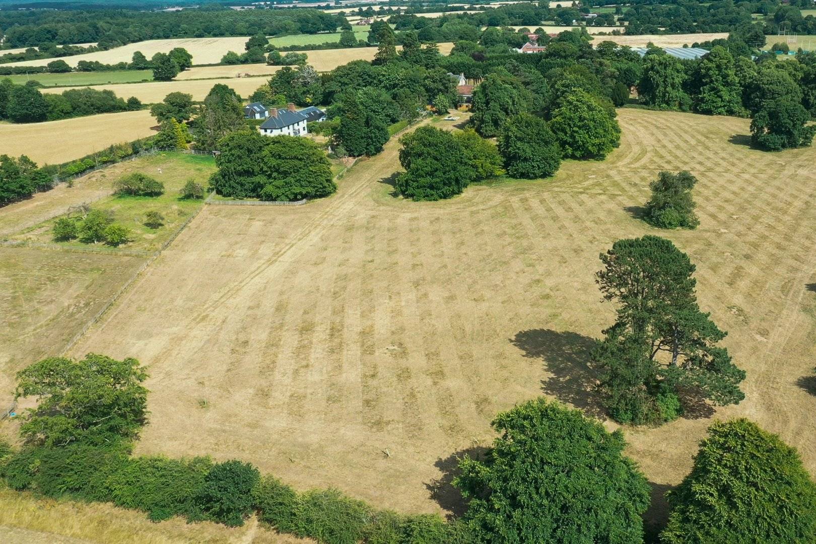 Bridge field dens