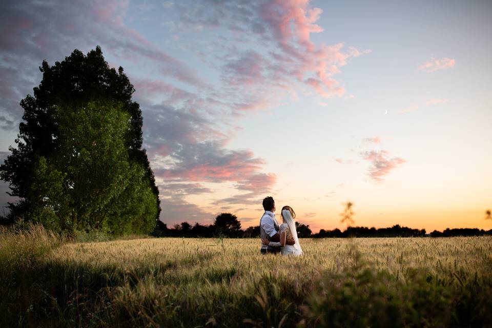 Farmland Photo Ops