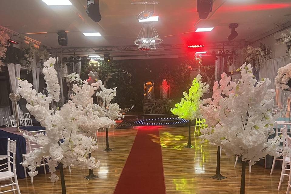 Red carpet with lovely trees