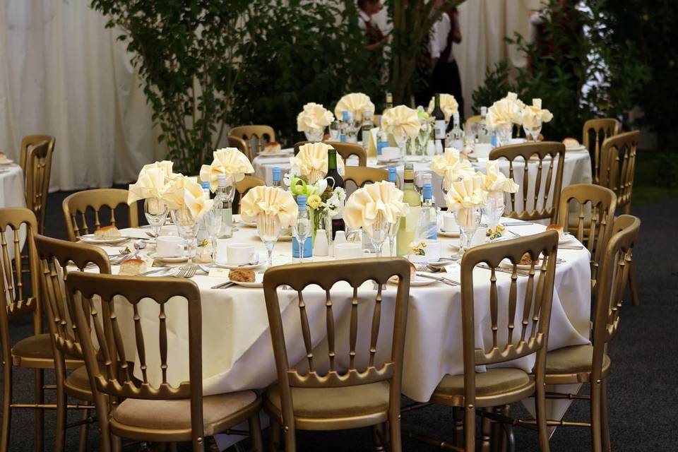 Place settings and table decor