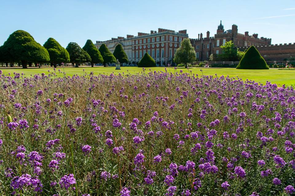 Hampton Court