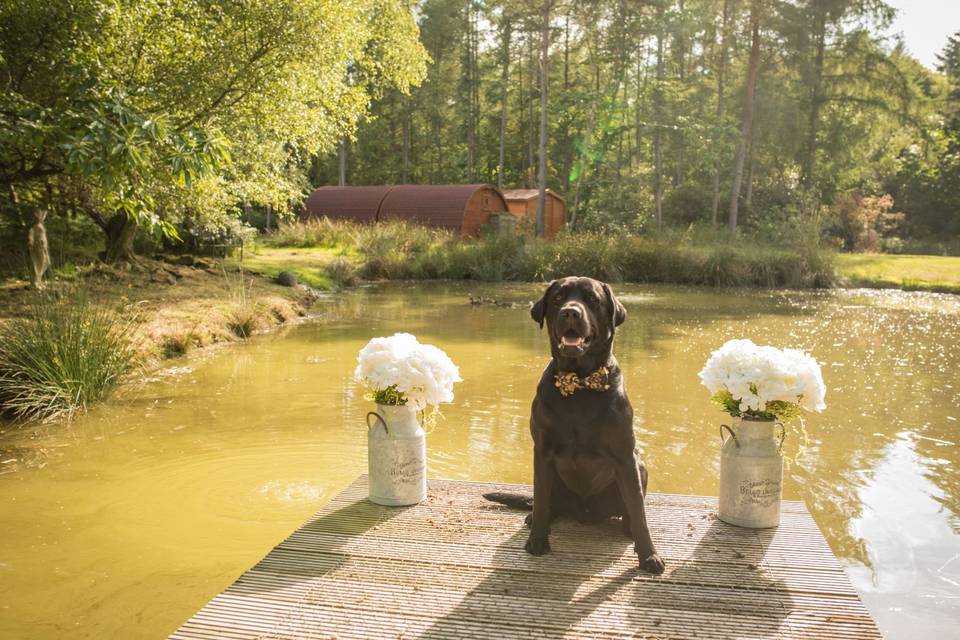 Bob on jetty