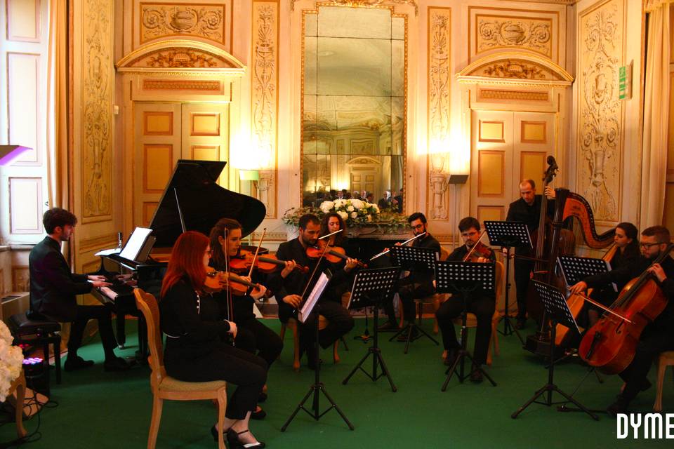 Orchestra