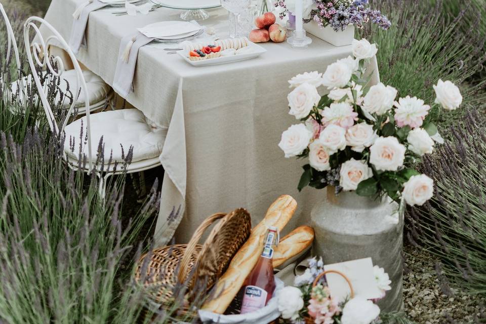 Lavender field shoot