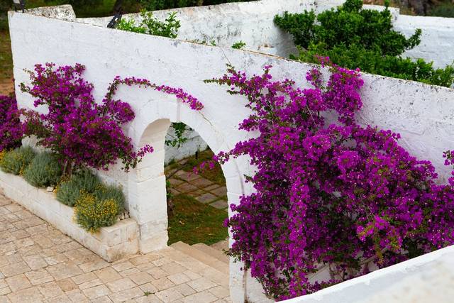 Masseria Piccole Taverne