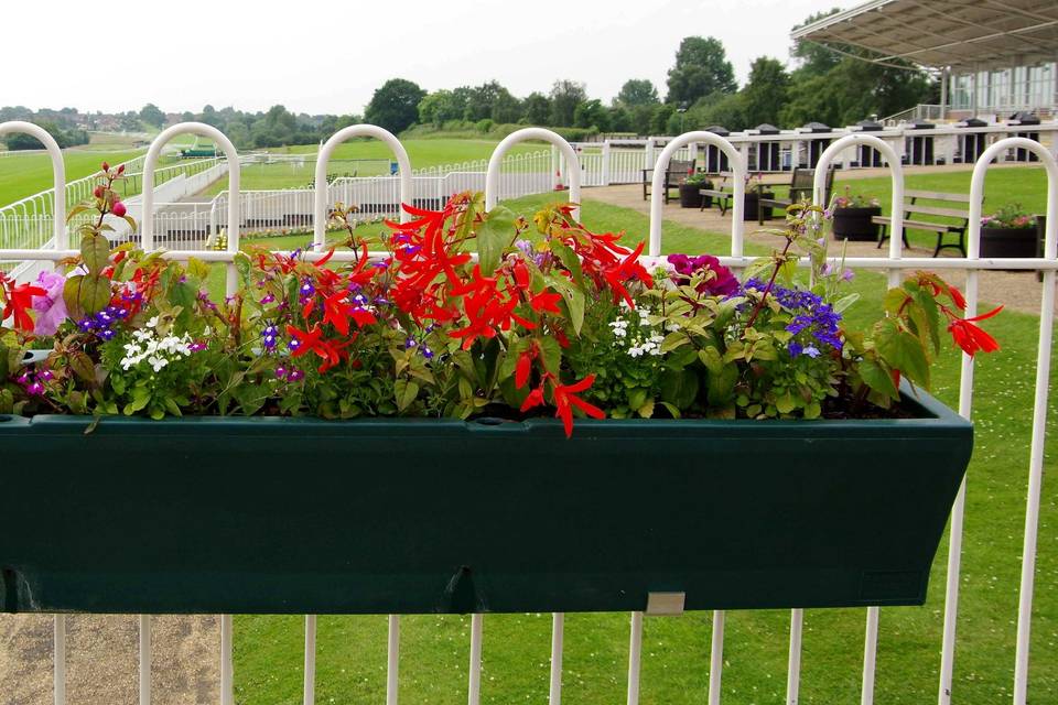 Leicester Racecourse Views