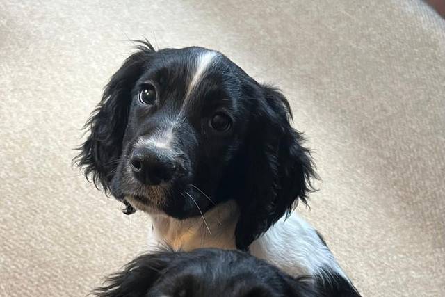 Griff and Jezz