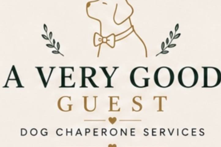 Our services