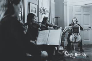 440 String Quartet