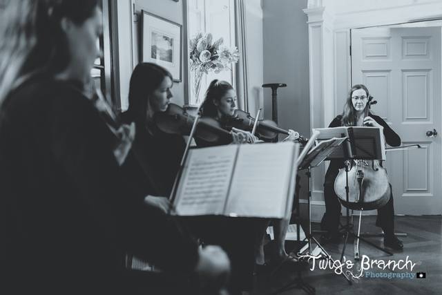 440 String Quartet