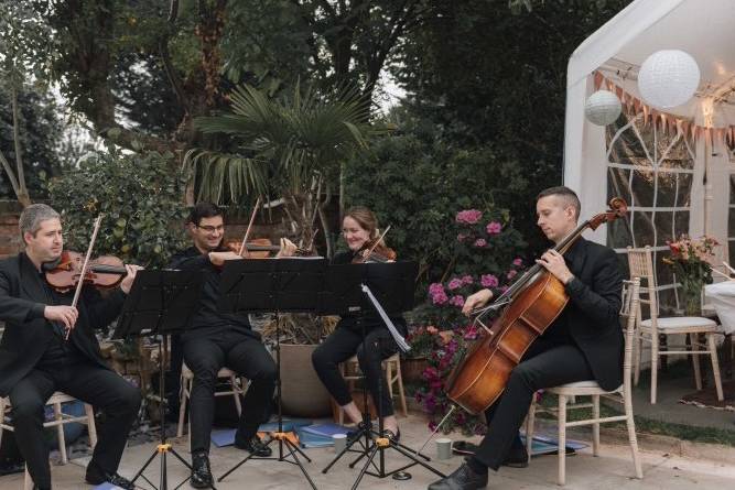 Garden Party