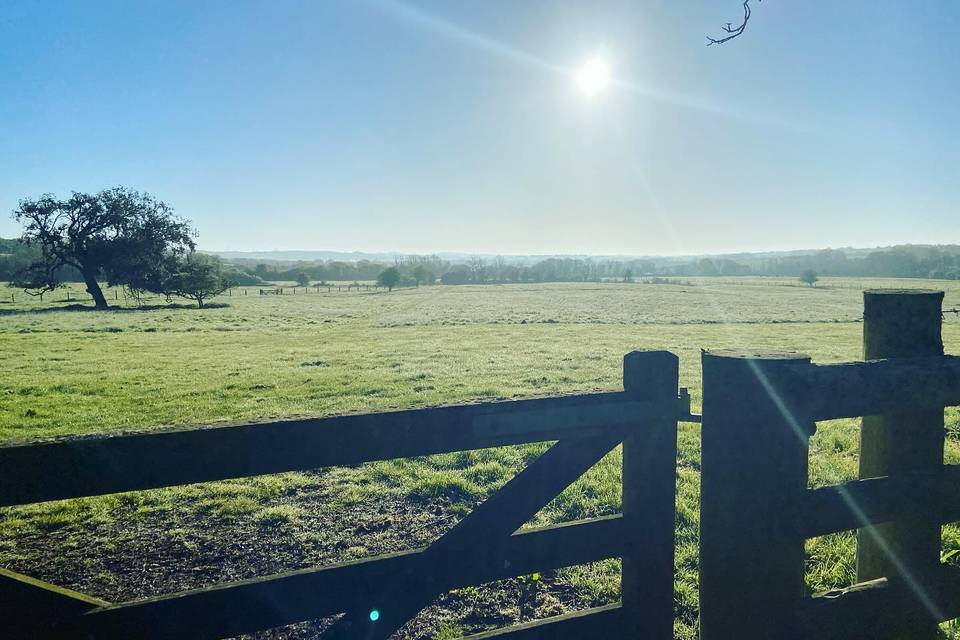 On the fence