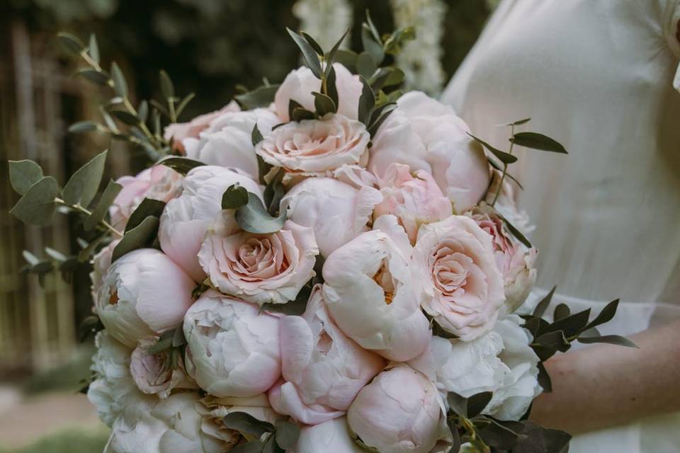 Beautiful flowers