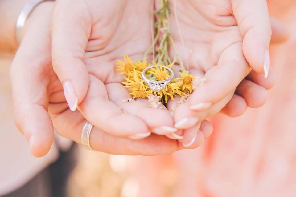 Engagement photos