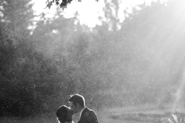 Wedd