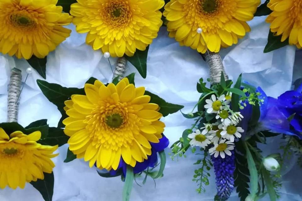 Gerbera Buttonholes