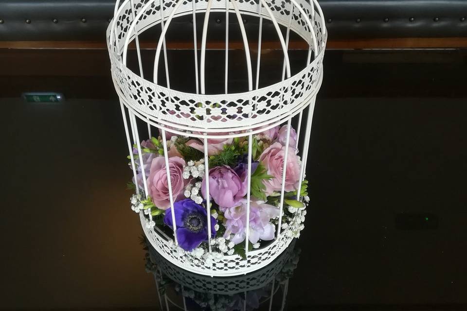 Spring Bird cage