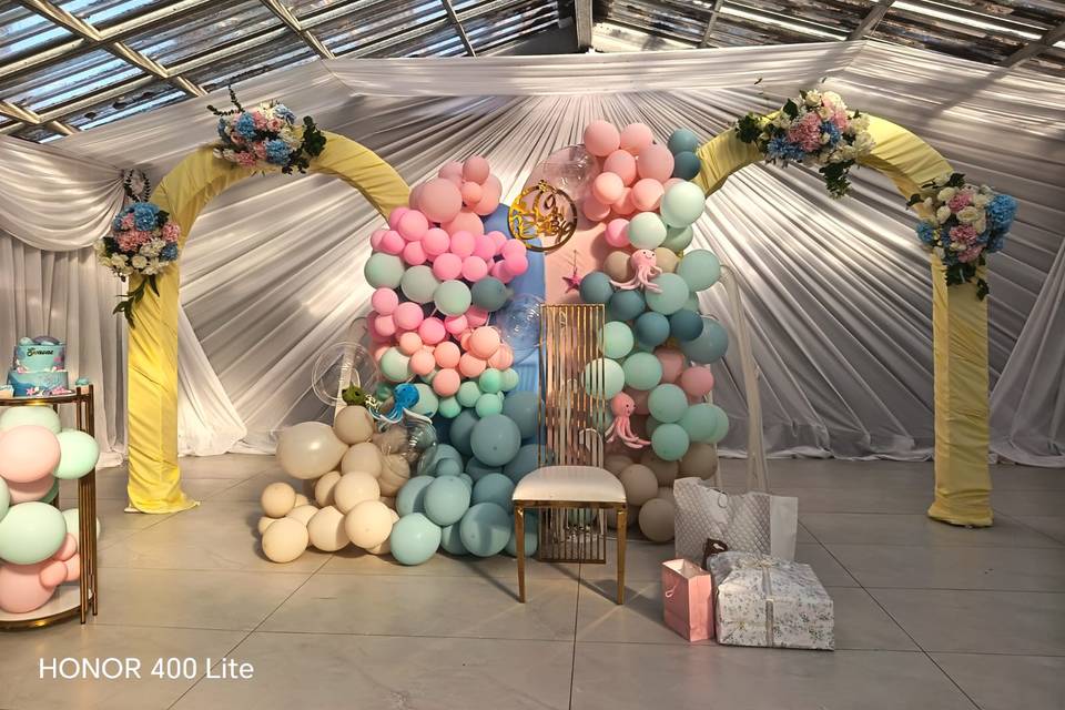 Baby shower Backdrop