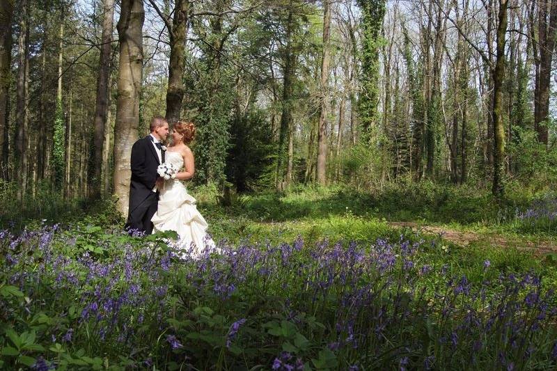 Fox & Hounds Country Hotel and Treetops Treehouse