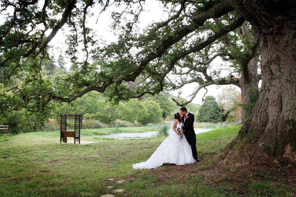 Fox & Hounds Country Hotel and Treetops Treehouse