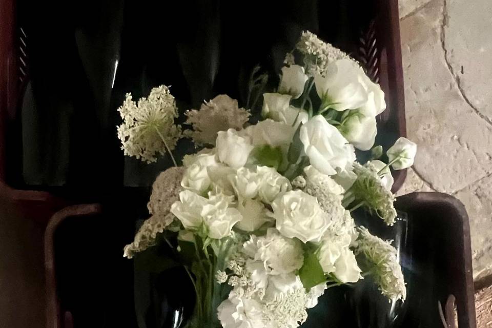 Sara D'errico Events