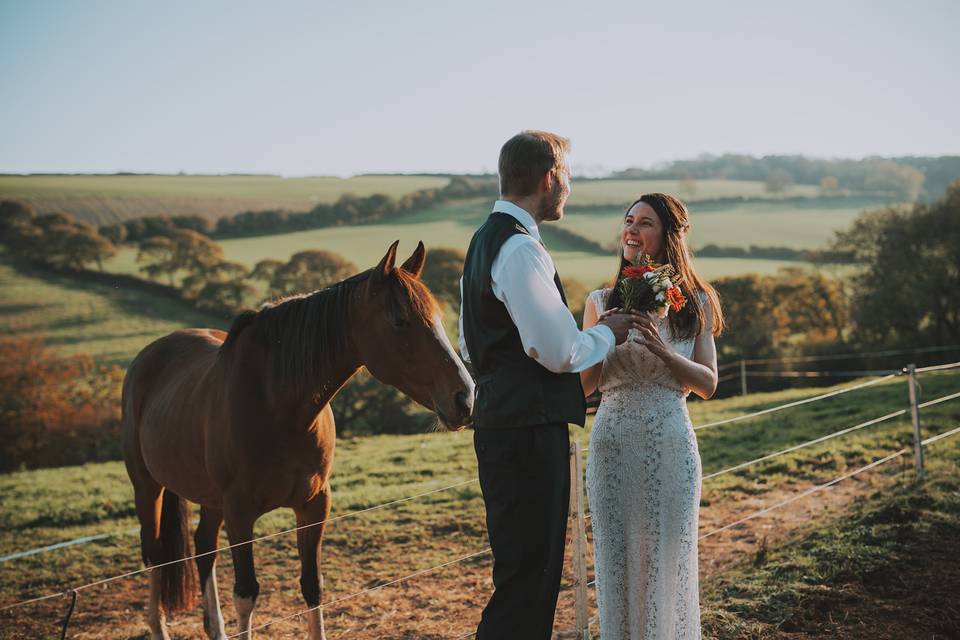 Happy horses