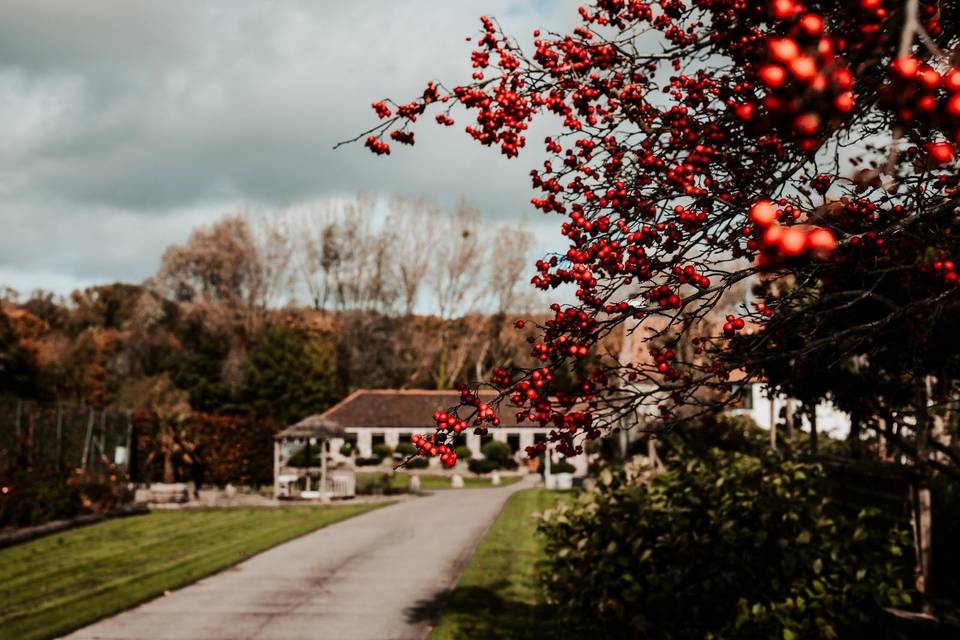 Adam Barnard Photography
