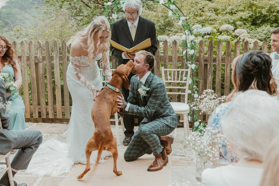 Doggy Ring Bearer