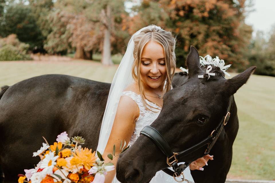 Equine Friend