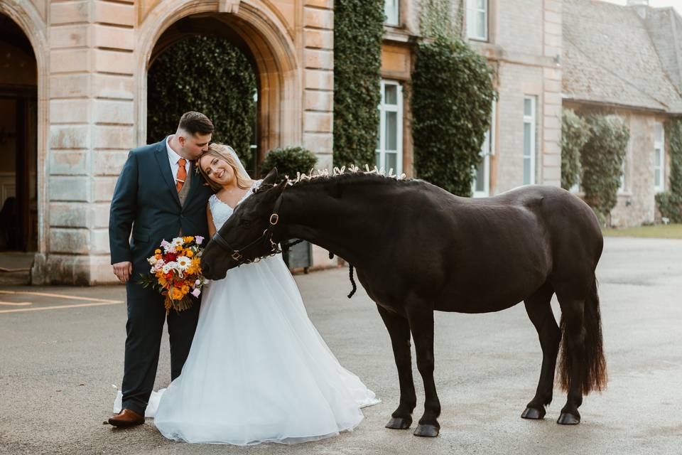 Equine Pals