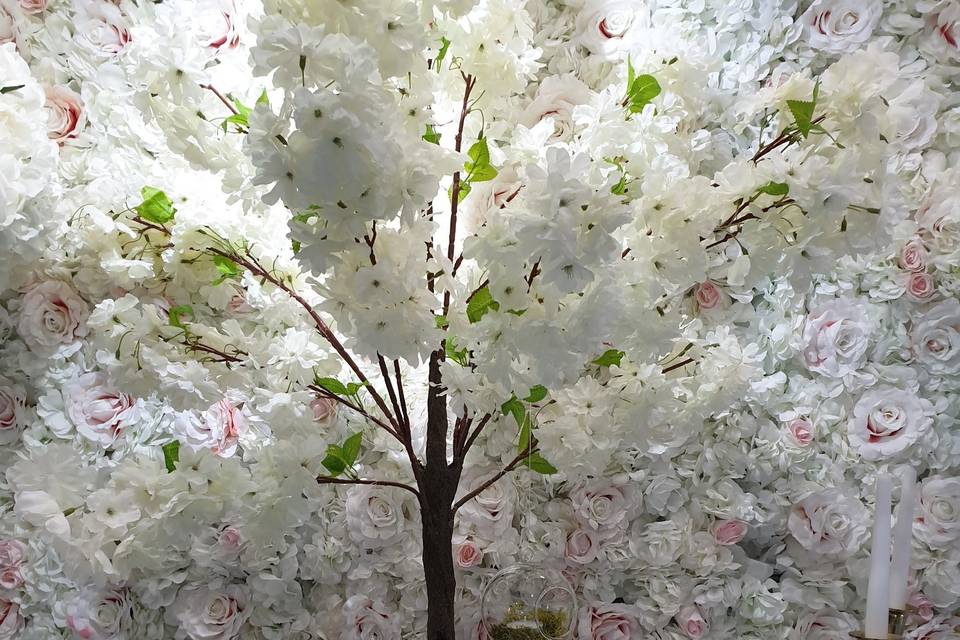 Cherry Blossom Tree