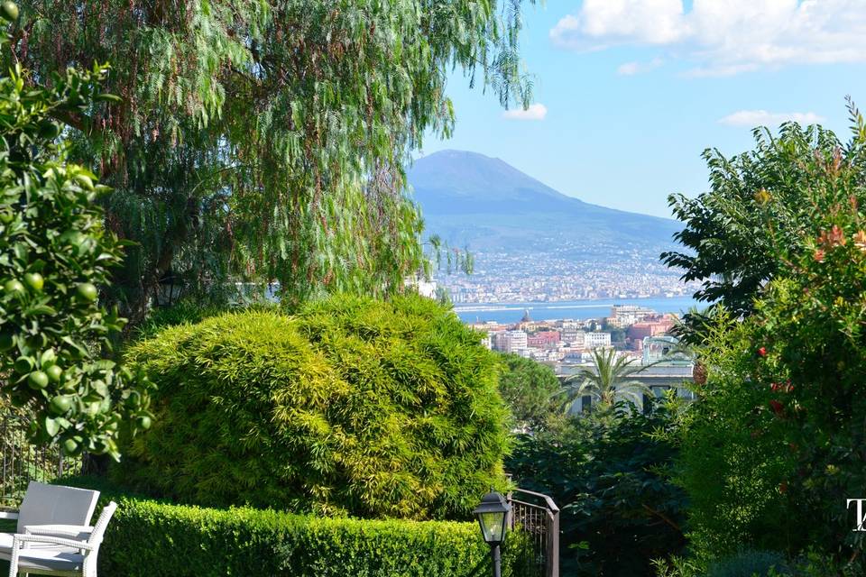 Vesuvius from our garden