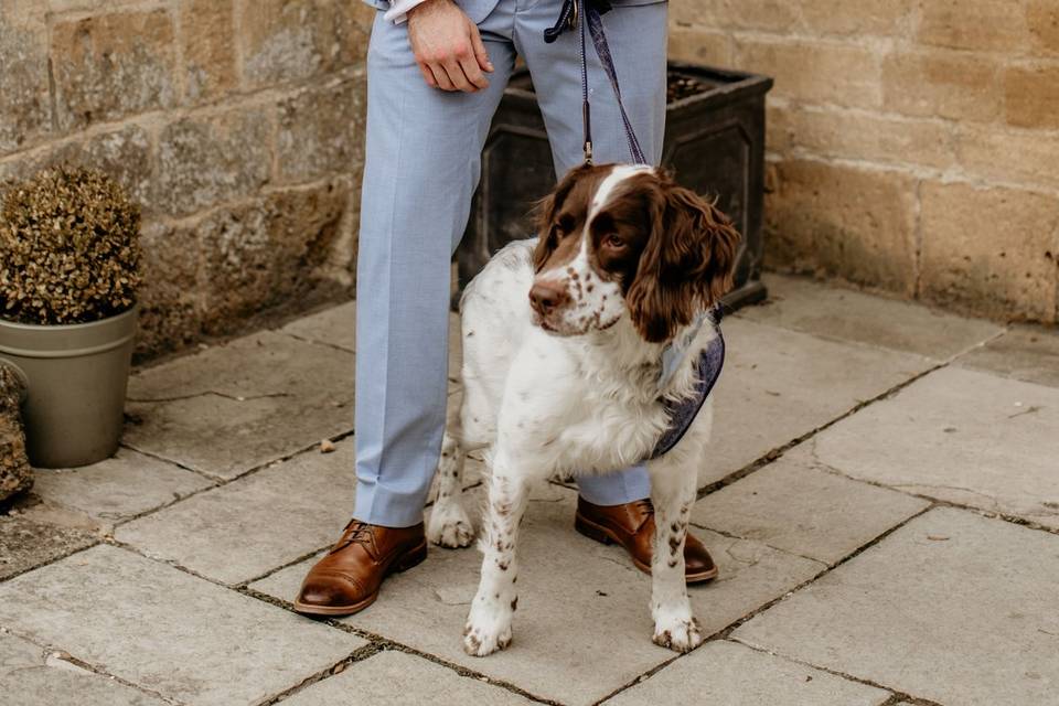 Have your dog at your wedding