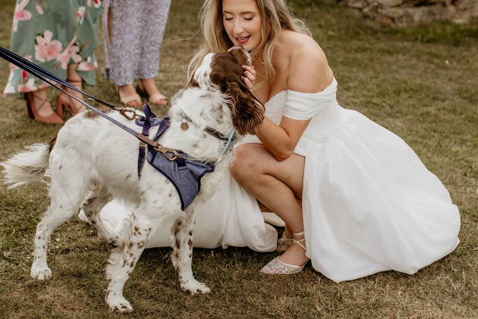 Have your dog at your wedding