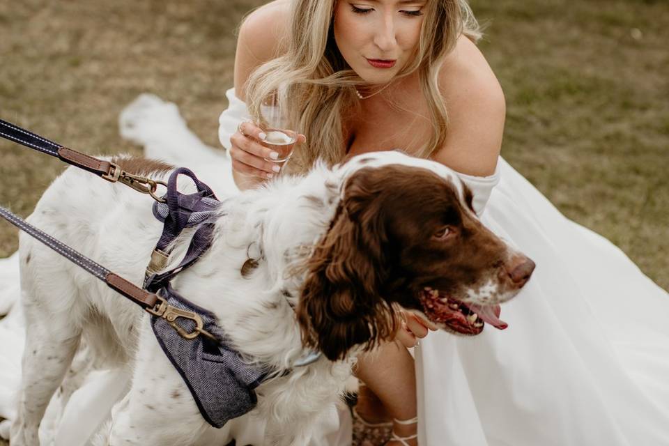 Have your dog at your wedding