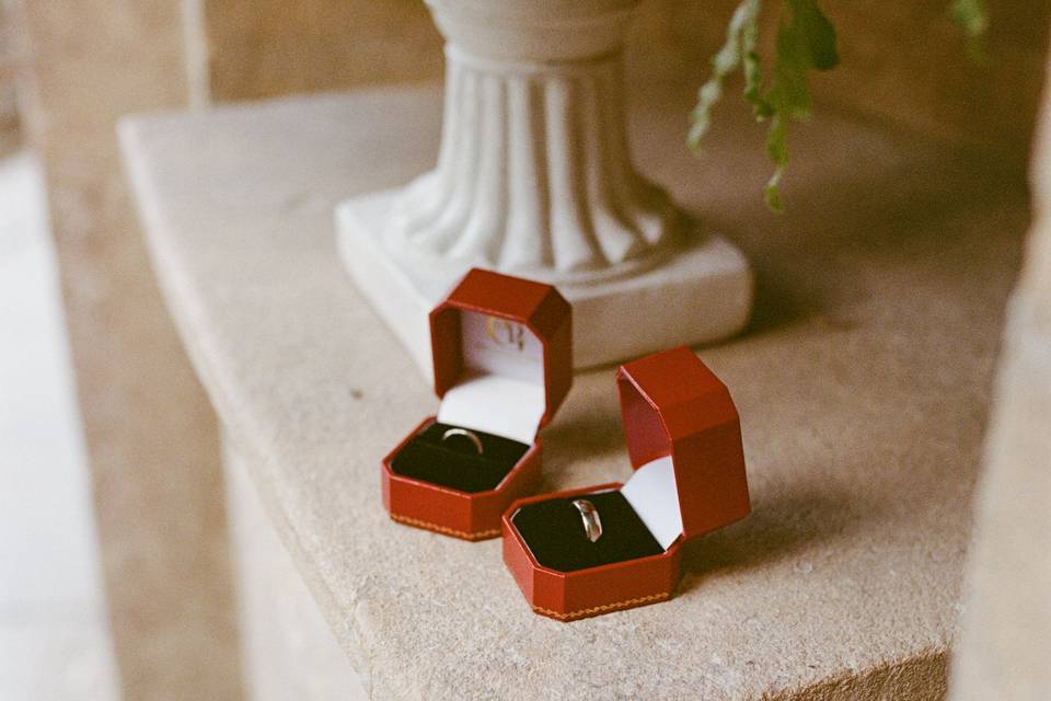 N & G, Stourhead 2025