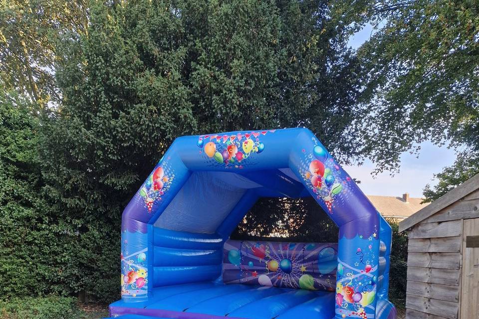 Party adult bouncy castle