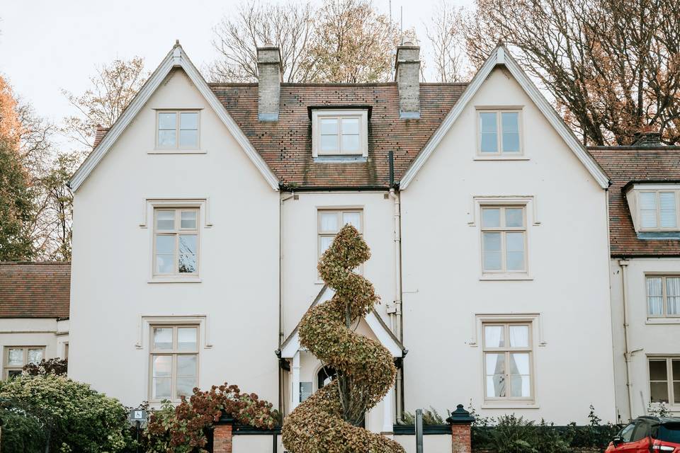 Garden Room Florals