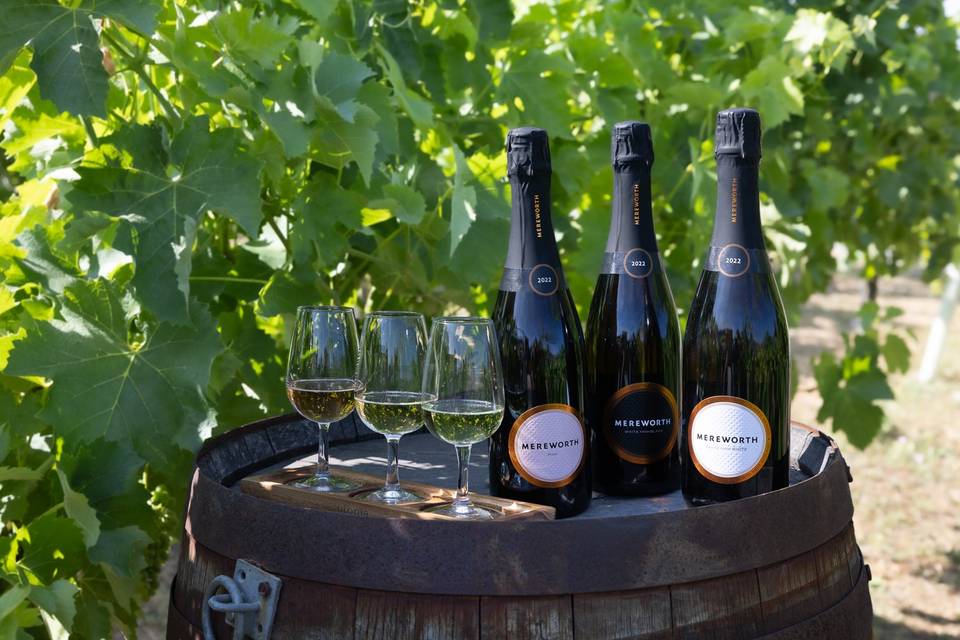 Our Wines